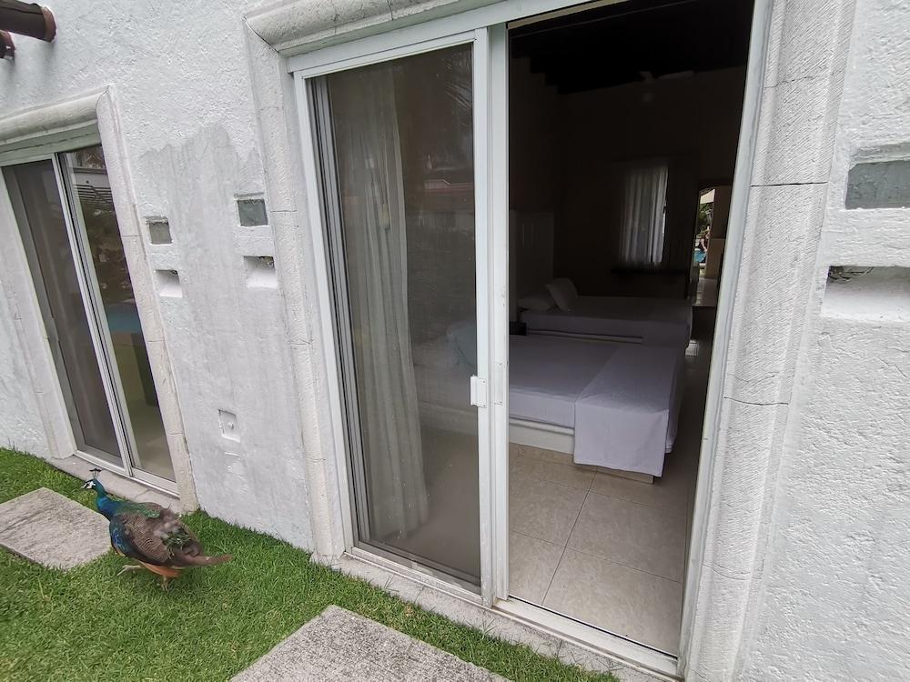 Hotel Canarios Cuernavaca Exterior photo